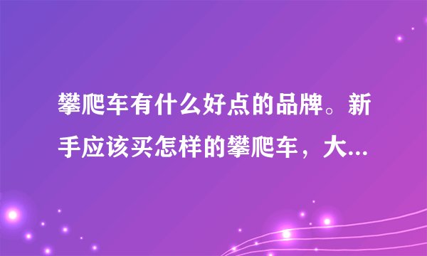 攀爬车有什么好点的品牌。新手应该买怎样的攀爬车，大概多少钱？