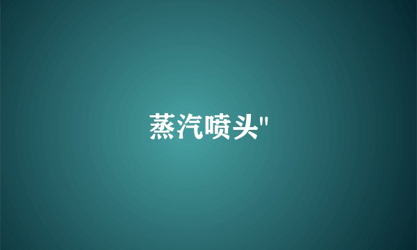 蒸汽喷头
