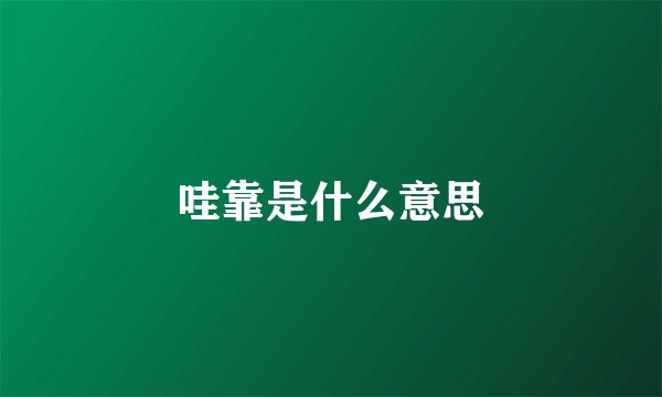 哇靠是什么意思