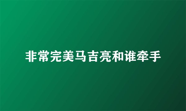 非常完美马吉亮和谁牵手