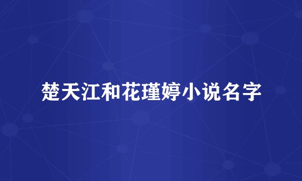 楚天江和花瑾婷小说名字