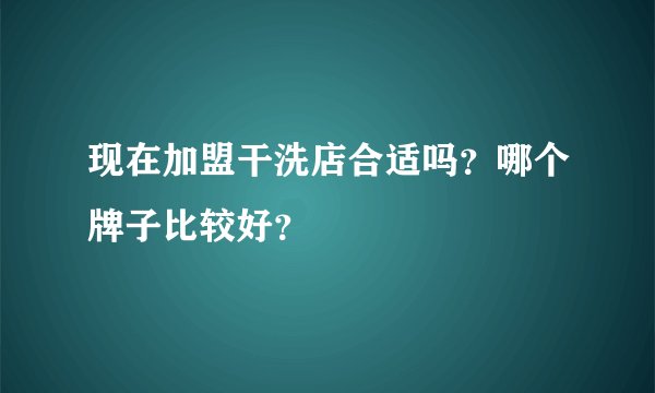 现在加盟干洗店合适吗？哪个牌子比较好？