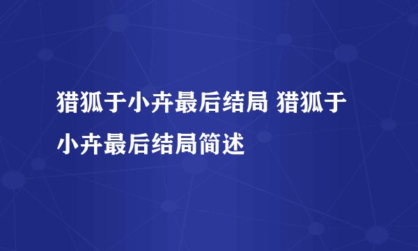 猎狐于小卉最后结局 猎狐于小卉最后结局简述