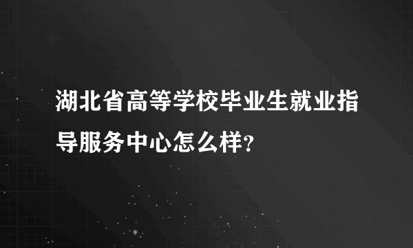 湖北省高等学校毕业生就业指导服务中心怎么样？
