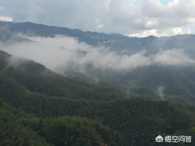 大学生骑车撞上违停法拉利,初步估计要赔20万,对此你怎么看?