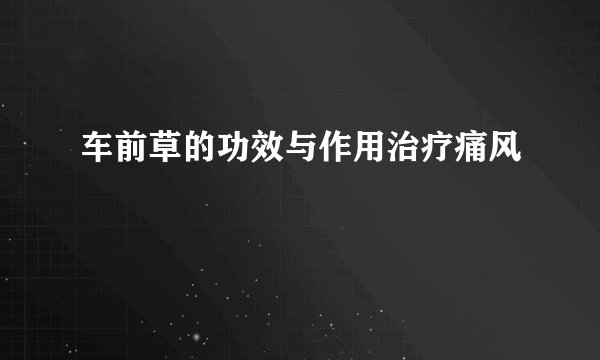 车前草的功效与作用治疗痛风