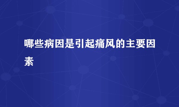 哪些病因是引起痛风的主要因素