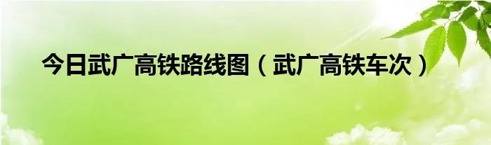 今日武广高铁路线图(武广高铁车次)