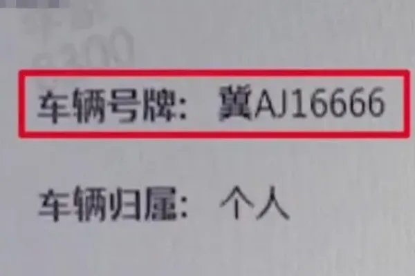 河北女子抽中尾号6666车牌离奇失踪,车管所是如何回应这件事的?