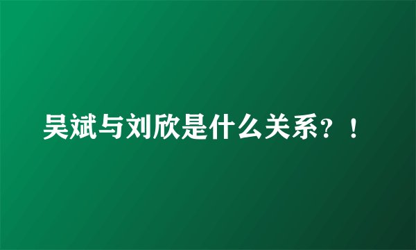 吴斌与刘欣是什么关系？！