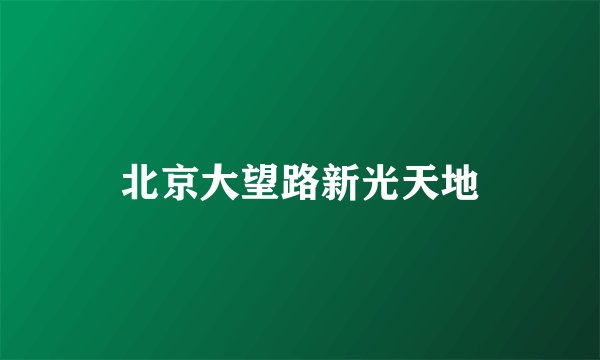 北京大望路新光天地