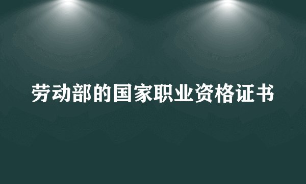 劳动部的国家职业资格证书