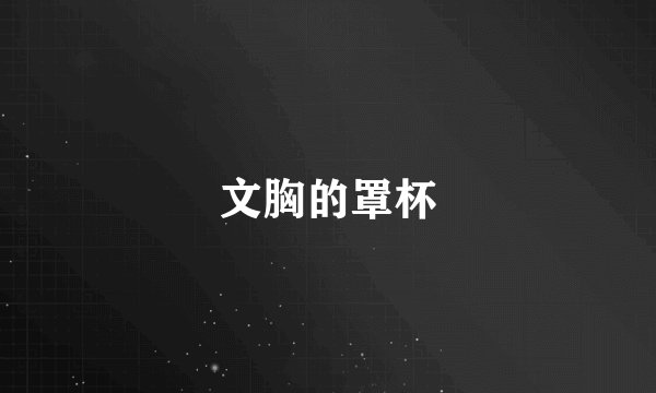 文胸的罩杯