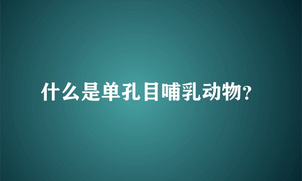 什么是单孔目哺乳动物？