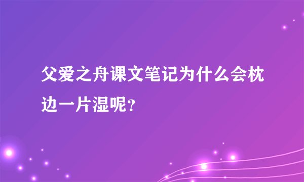 父爱之舟课文笔记为什么会枕边一片湿呢？