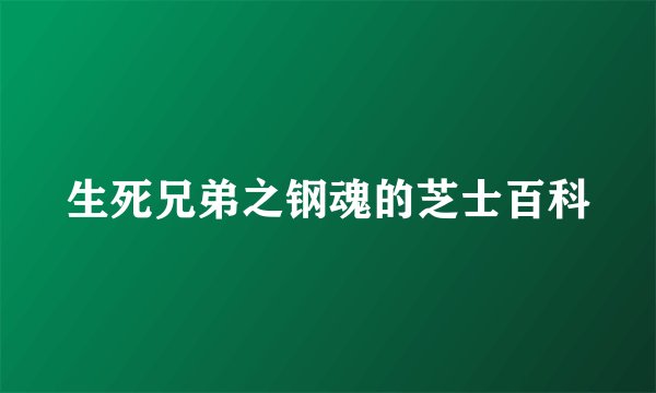 生死兄弟之钢魂的芝士百科