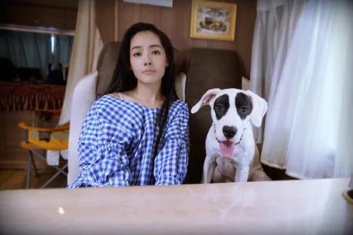 向佐郭碧婷婚礼为什么请不来月老刘德华?