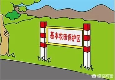西安村民春节改麦田为停车场，一天收入2000元，你怎么看？