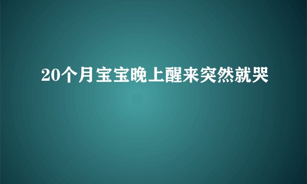 20个月宝宝晚上醒来突然就哭