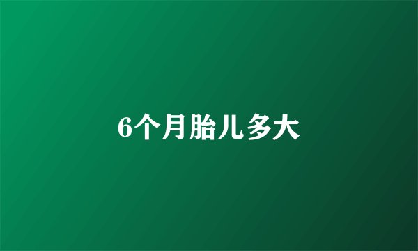 6个月胎儿多大