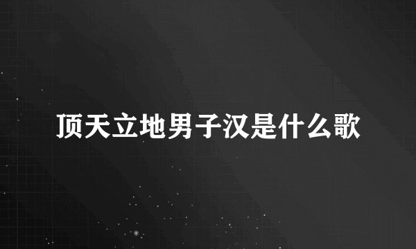 顶天立地男子汉是什么歌