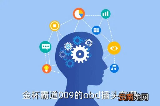 金杯霸道009,金杯霸道009怎么样