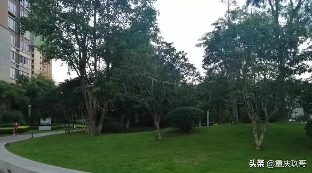 买的二手房户型不好,但是是学区房,卖掉换个好户型合适吗?