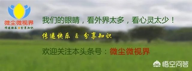 自建房化粪池怎么做