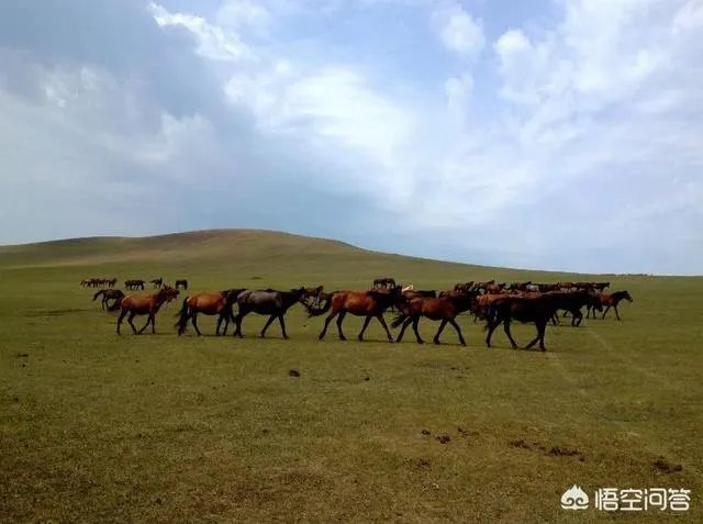 为什么呼伦贝尔只有两个月的旅游旺季，和别的月份有什么区别？
