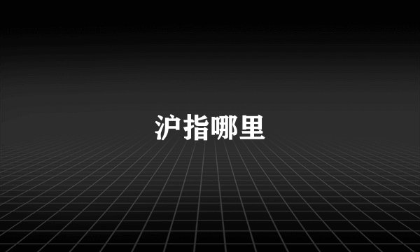 沪指哪里