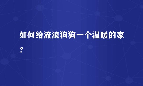 如何给流浪狗狗一个温暖的家？
