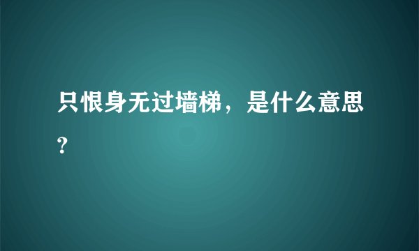 只恨身无过墙梯，是什么意思？