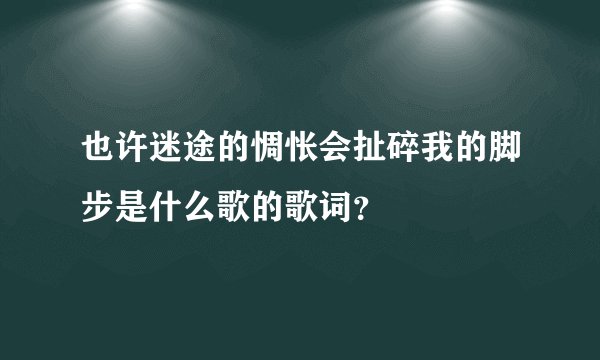也许迷途的惆怅会扯碎我的脚步是什么歌的歌词？