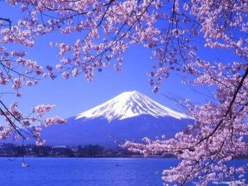 全球多国通胀,日本物价却跌跌跌,会造成哪些后果?