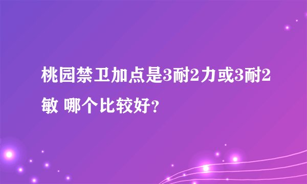 桃园禁卫加点是3耐2力或3耐2敏 哪个比较好？