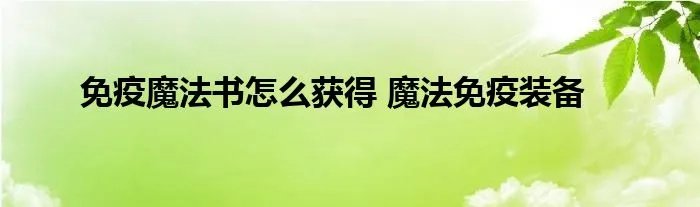免疫魔法书怎么获得 魔法免疫装备