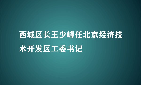西城区长王少峰任北京经济技术开发区工委书记