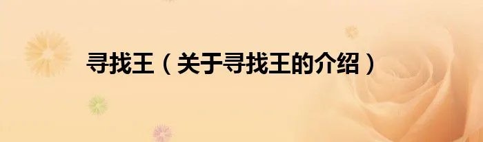 寻找王(关于寻找王的介绍)