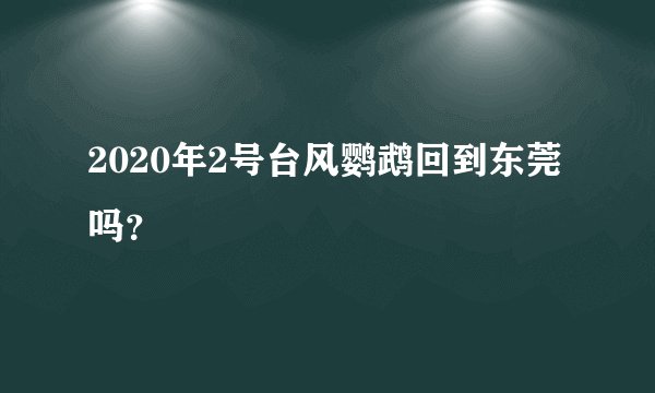 2020年2号台风鹦鹉回到东莞吗？