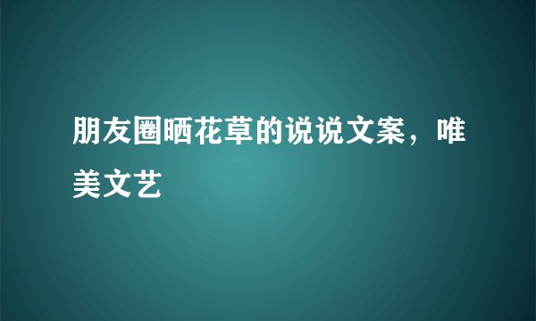 朋友圈晒花草的说说文案，唯美文艺