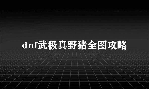 dnf武极真野猪全图攻略