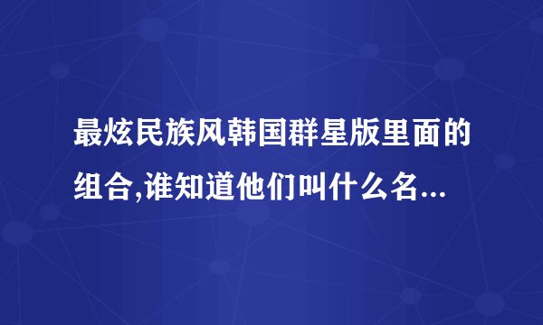 最炫民族风韩国群星版里面的组合,谁知道他们叫什么名字!!!!