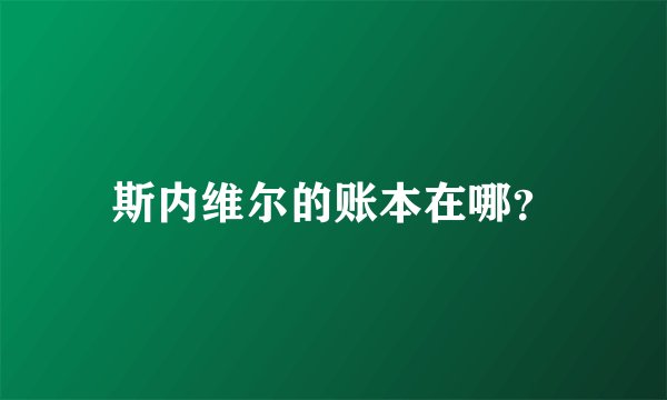 斯内维尔的账本在哪？