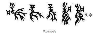 凤凰在历史上真实存在过吗？凤凰由来详解