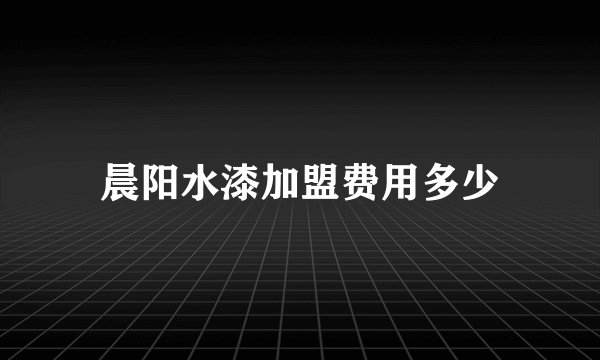 晨阳水漆加盟费用多少