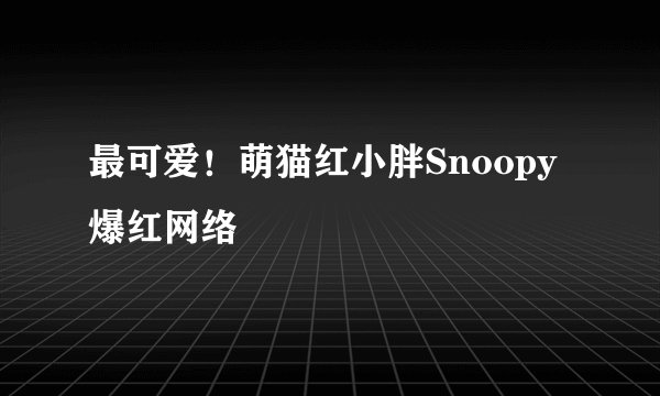 最可爱！萌猫红小胖Snoopy爆红网络