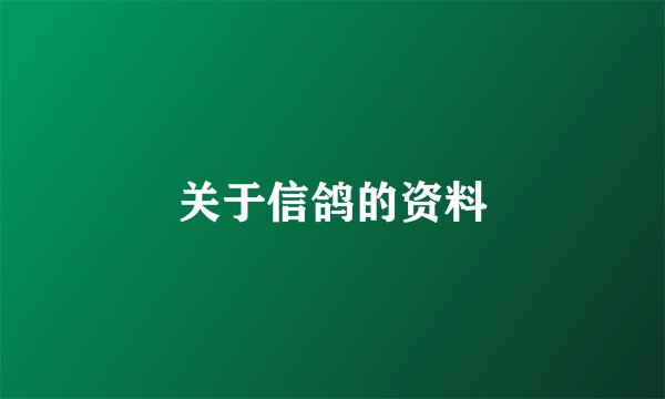 关于信鸽的资料