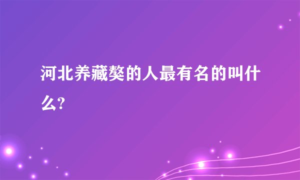河北养藏獒的人最有名的叫什么?