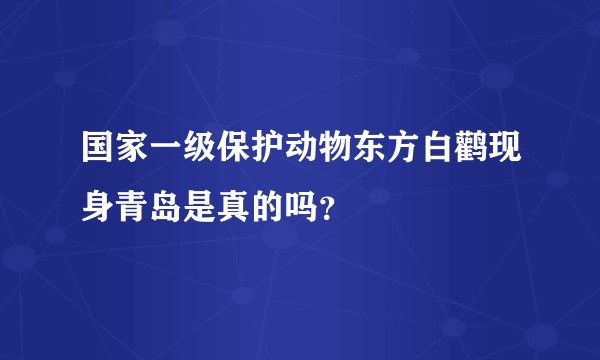 国家一级保护动物东方白鹳现身青岛是真的吗?