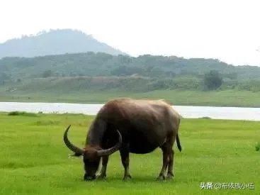 养殖什么好?